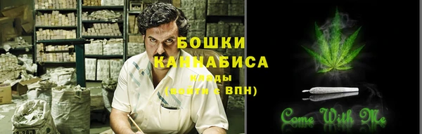 дживик Богородицк