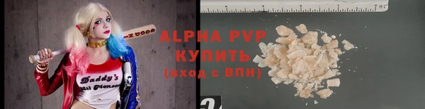 трава Белокуриха