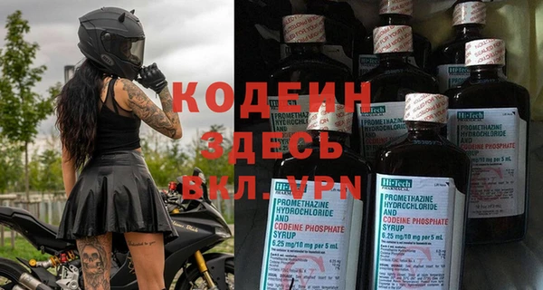 дживик Богородицк