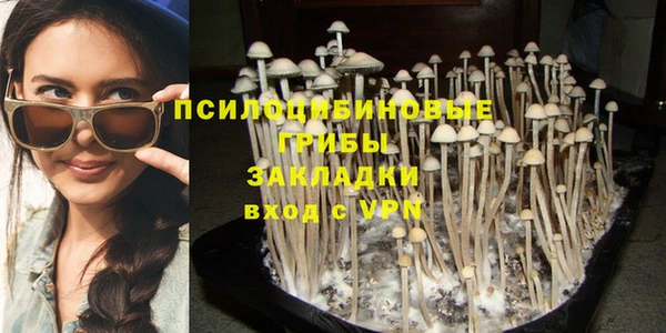 дживик Богородицк