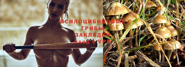 меф VHQ Богданович