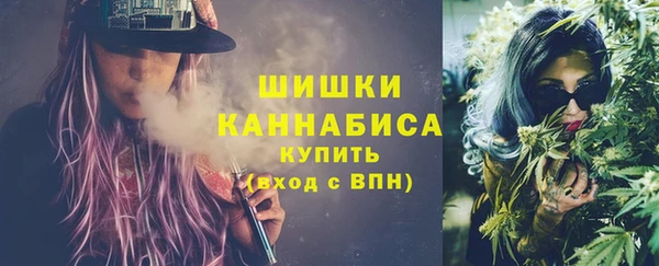 дживик Богородицк