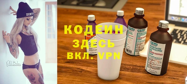 дживик Богородицк