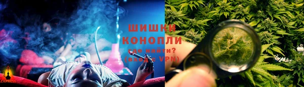 тгк Ельня