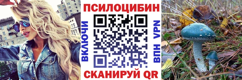 Псилоцибиновые грибы MAGIC MUSHROOMS Высоцк